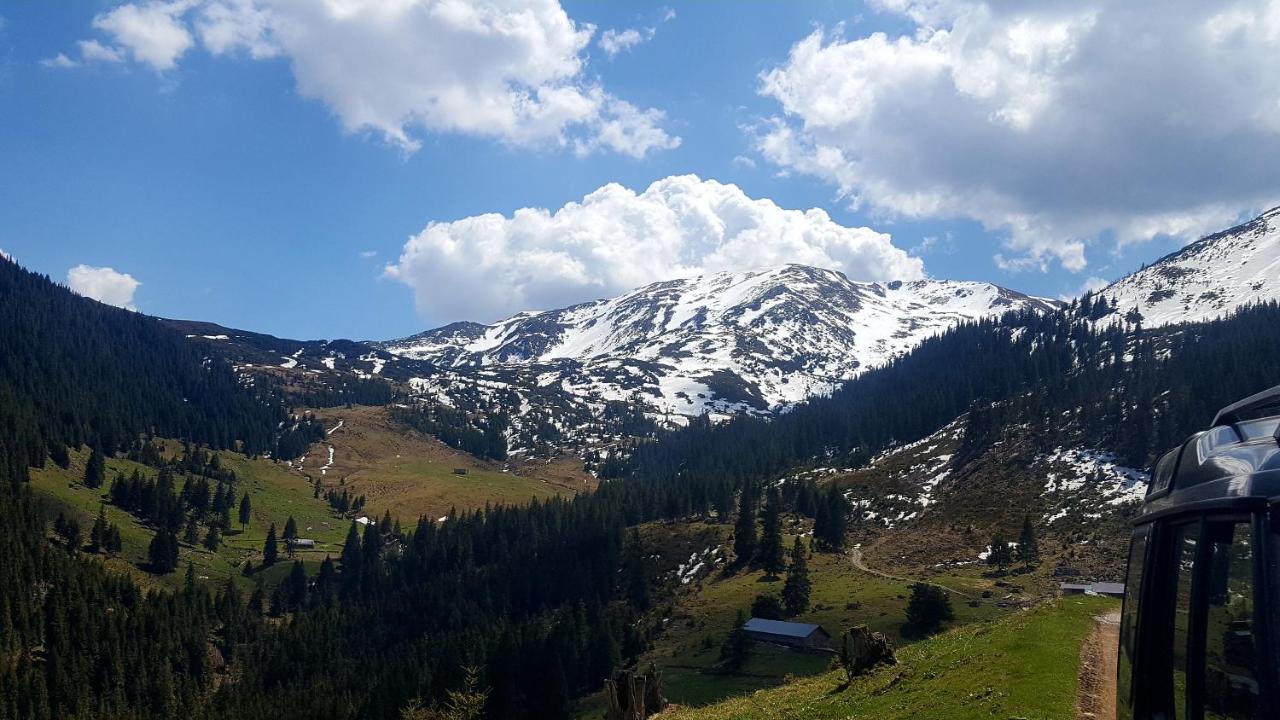 Cabana Rustic Борша Екстер'єр фото