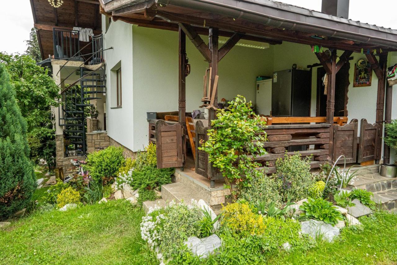 Cabana Rustic Борша Екстер'єр фото