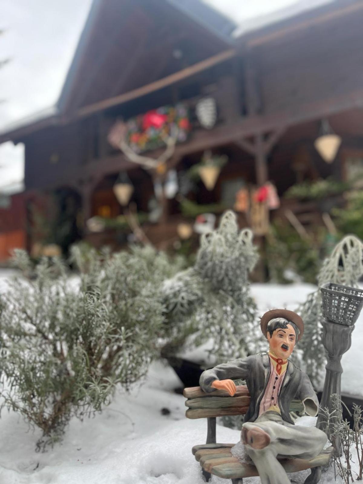 Cabana Rustic Борша Екстер'єр фото