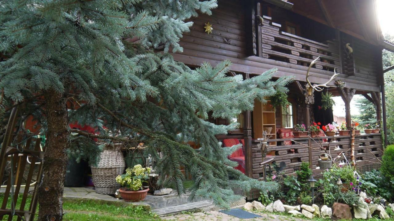 Cabana Rustic Борша Екстер'єр фото