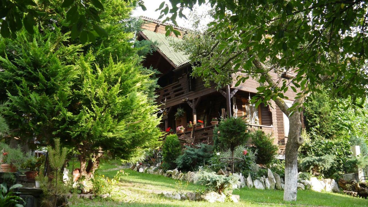 Cabana Rustic Борша Екстер'єр фото