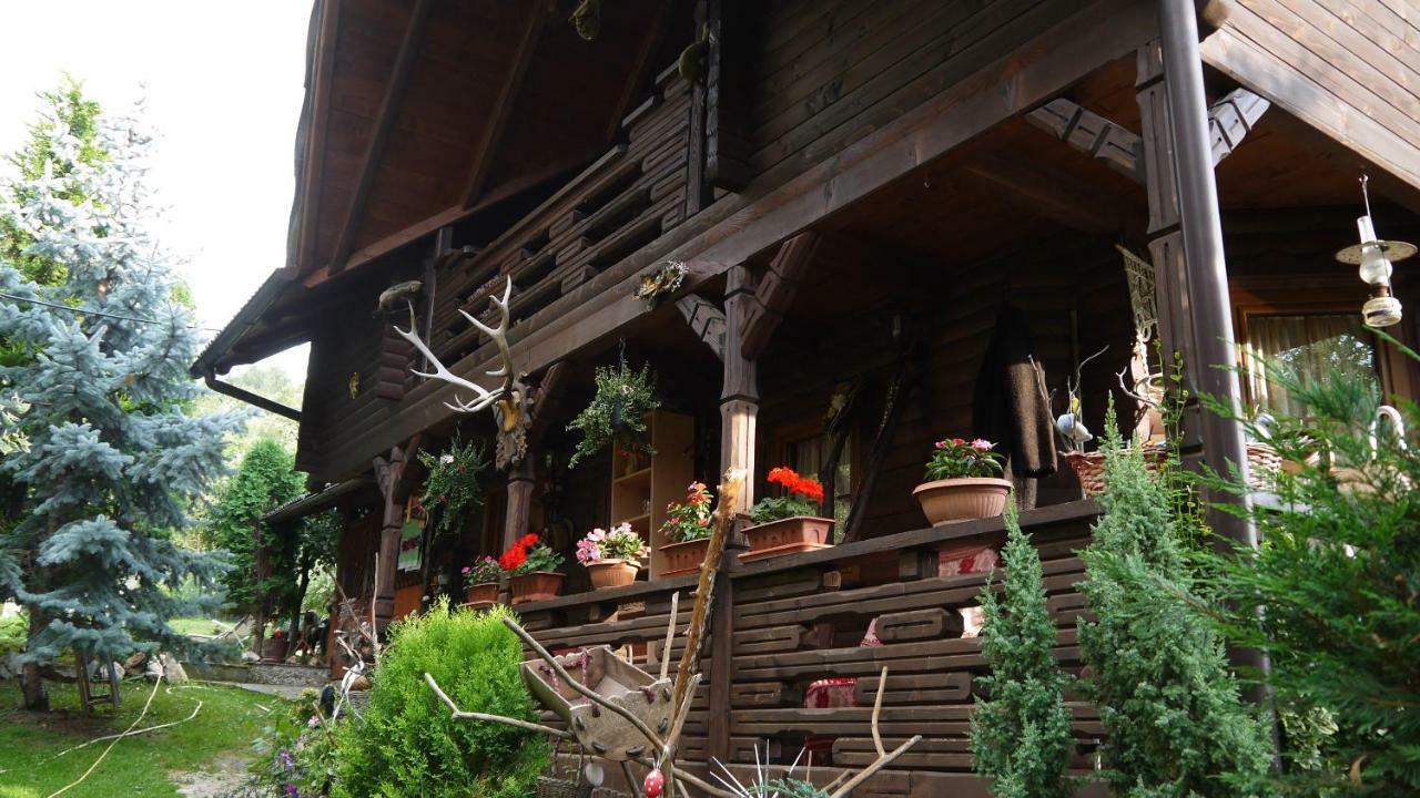 Cabana Rustic Борша Екстер'єр фото