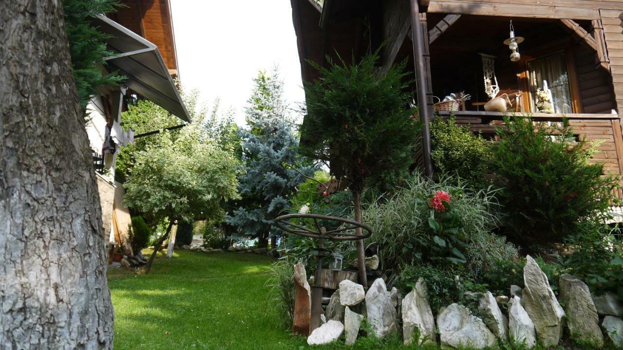 Cabana Rustic Борша Екстер'єр фото